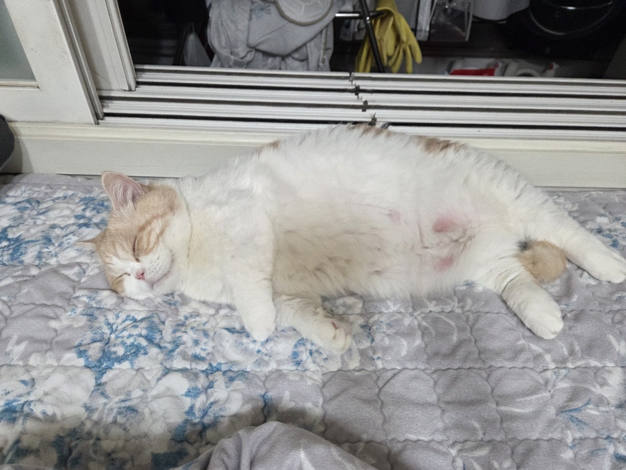 사용자가 올린 이미지