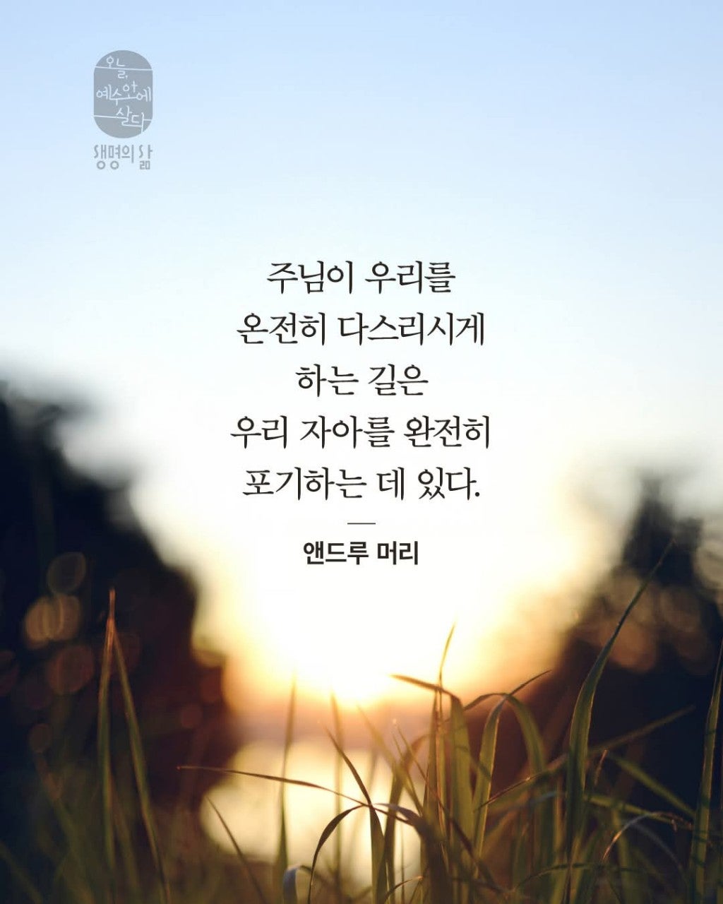 ����ڰ� �ø� �̹���