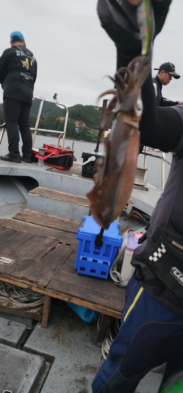 사용자가 올린 이미지