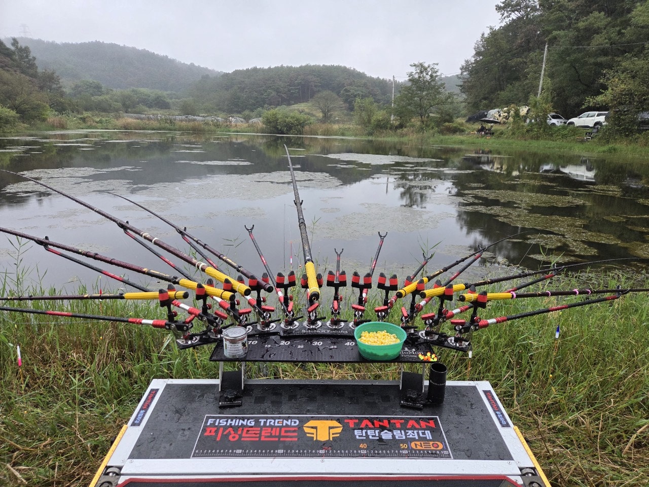 사용자가 올린 이미지