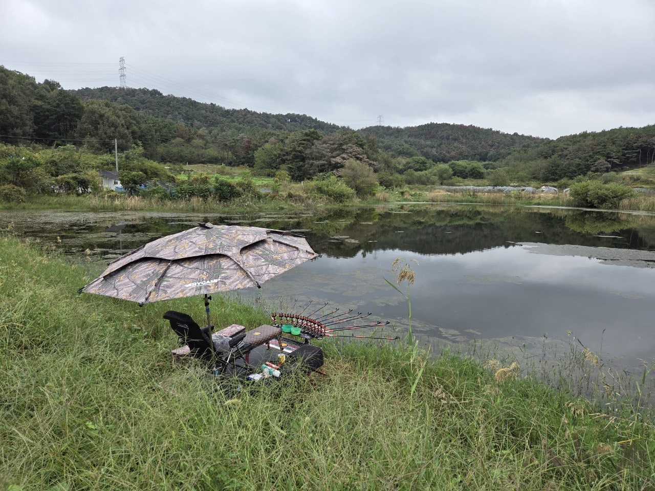사용자가 올린 이미지