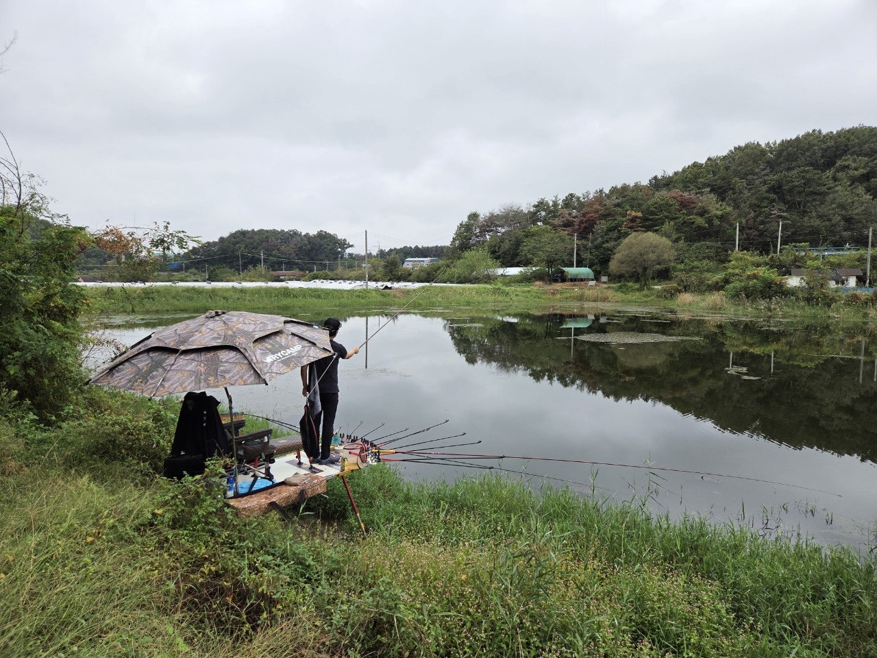 사용자가 올린 이미지