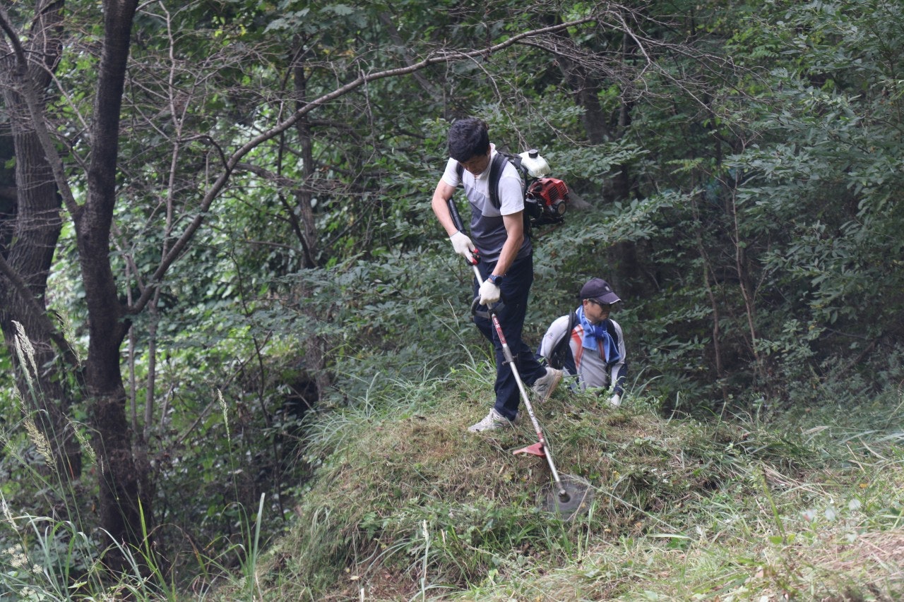 사용자가 올린 이미지