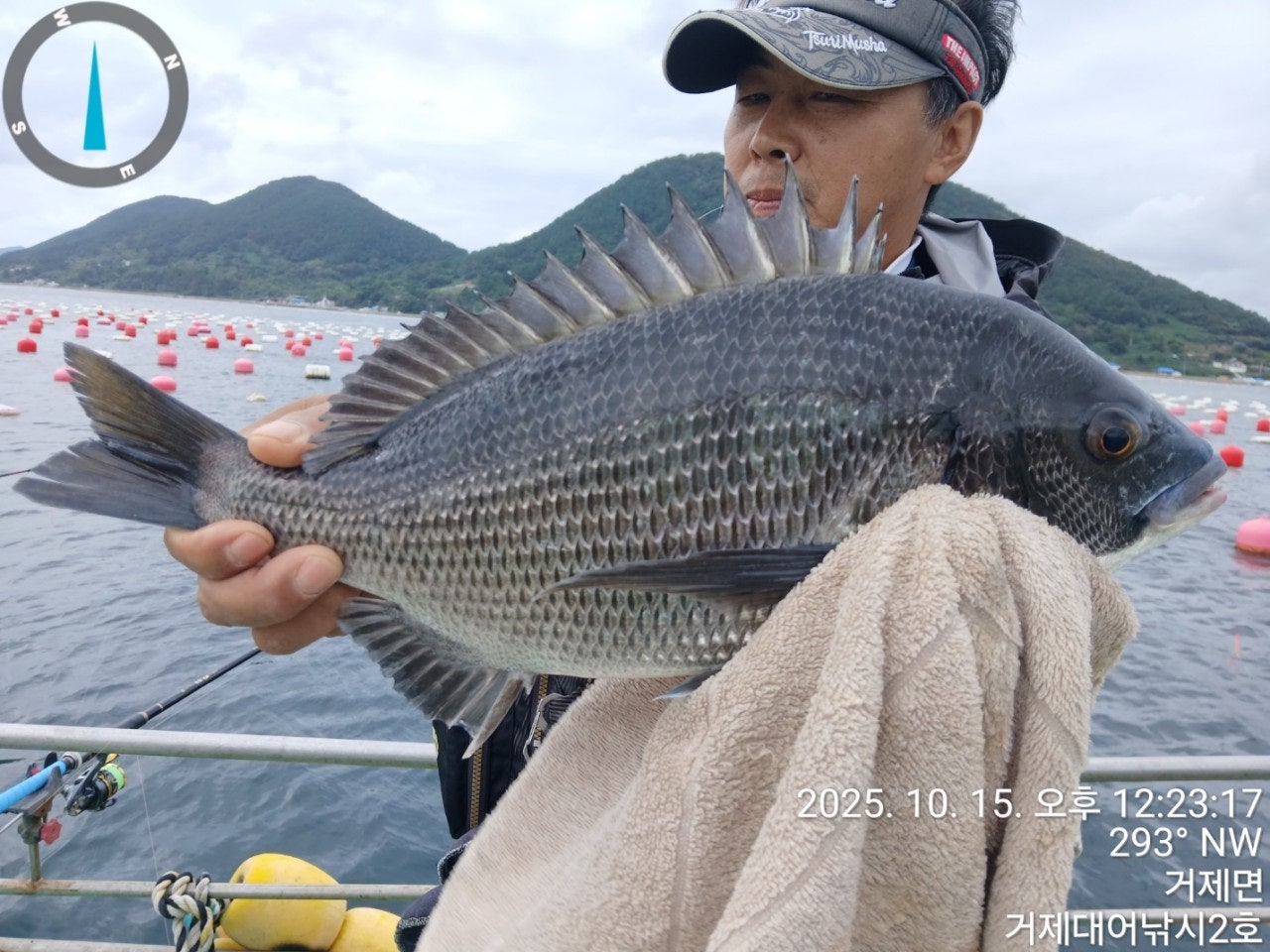 사용자가 올린 이미지