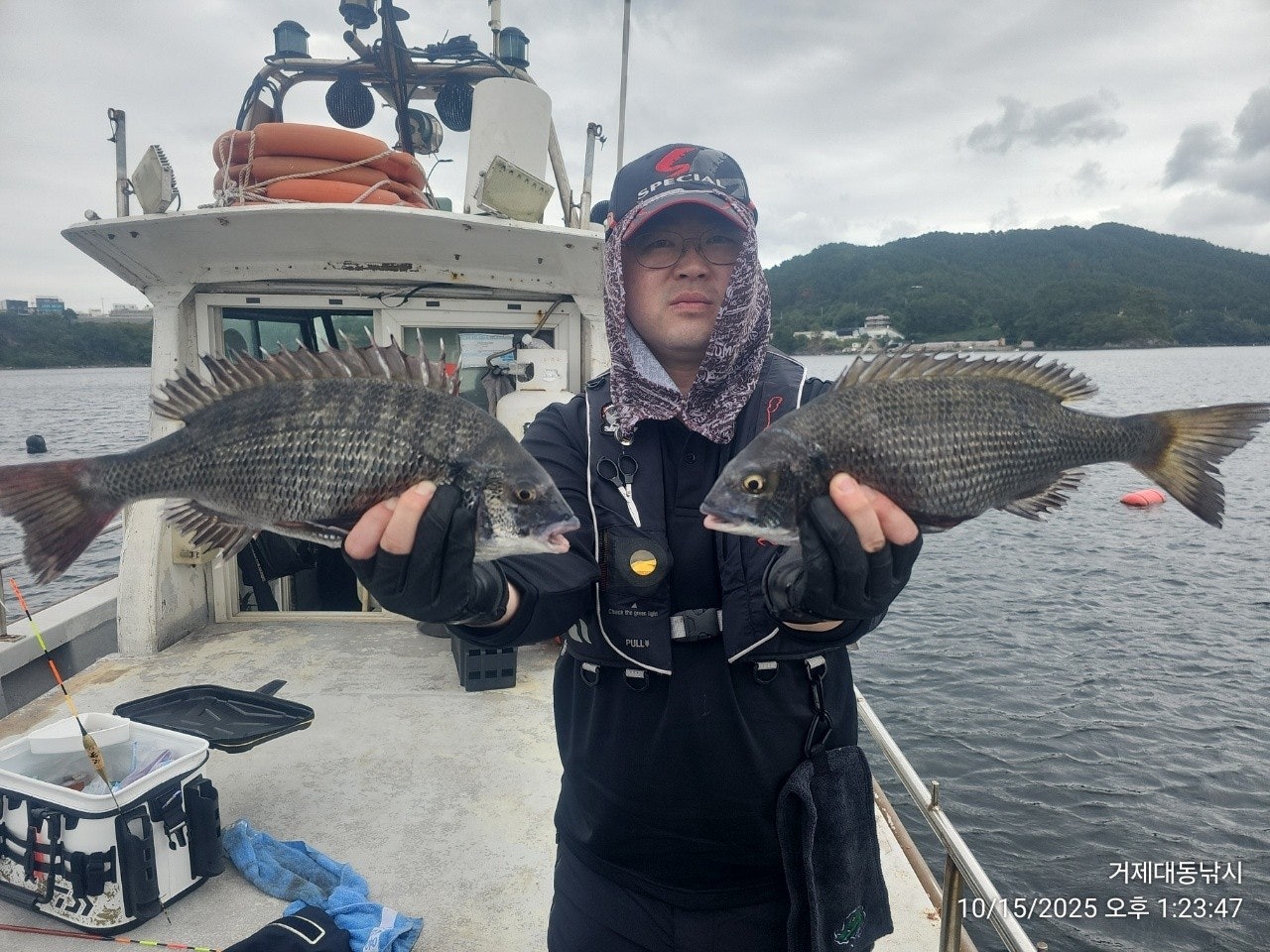 사용자가 올린 이미지