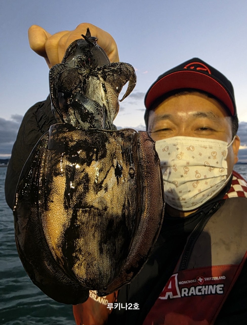 사용자가 올린 이미지