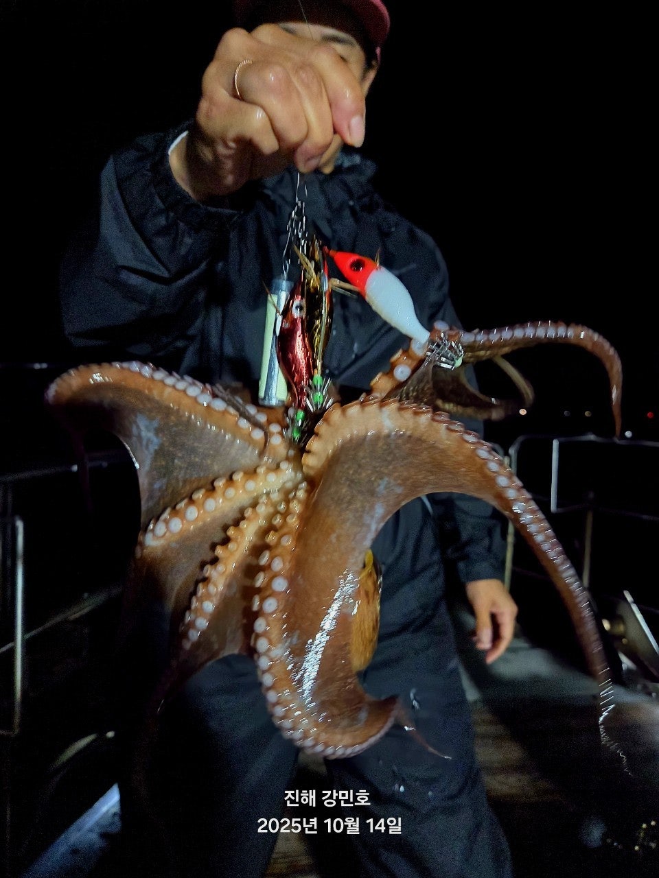 사용자가 올린 이미지