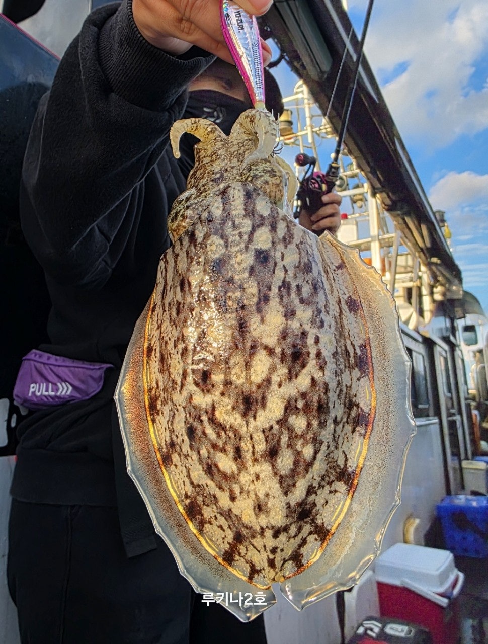 사용자가 올린 이미지