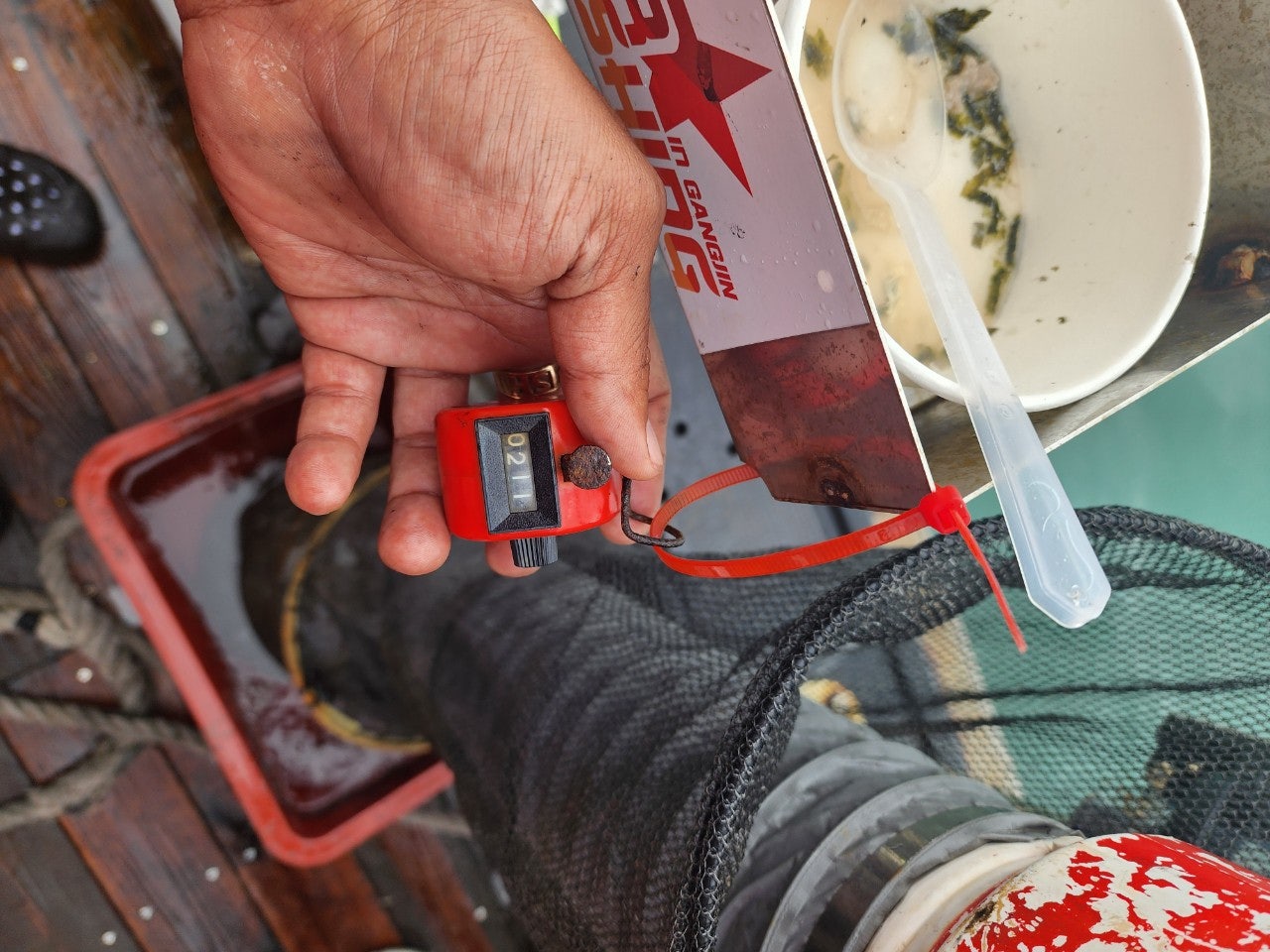 사용자가 올린 이미지