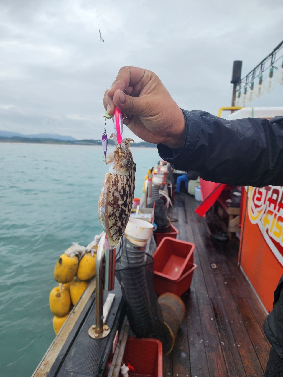 사용자가 올린 이미지