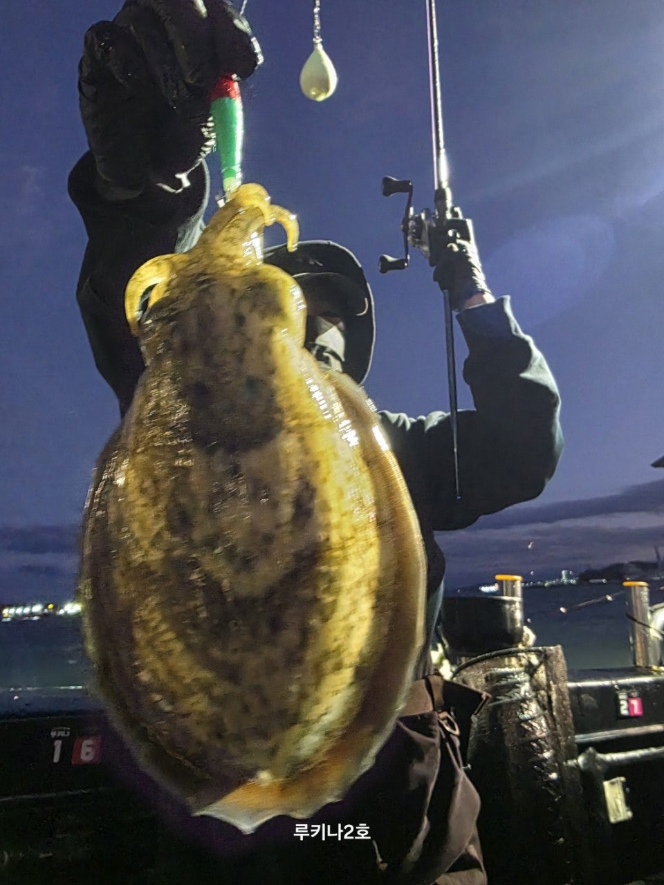 사용자가 올린 이미지