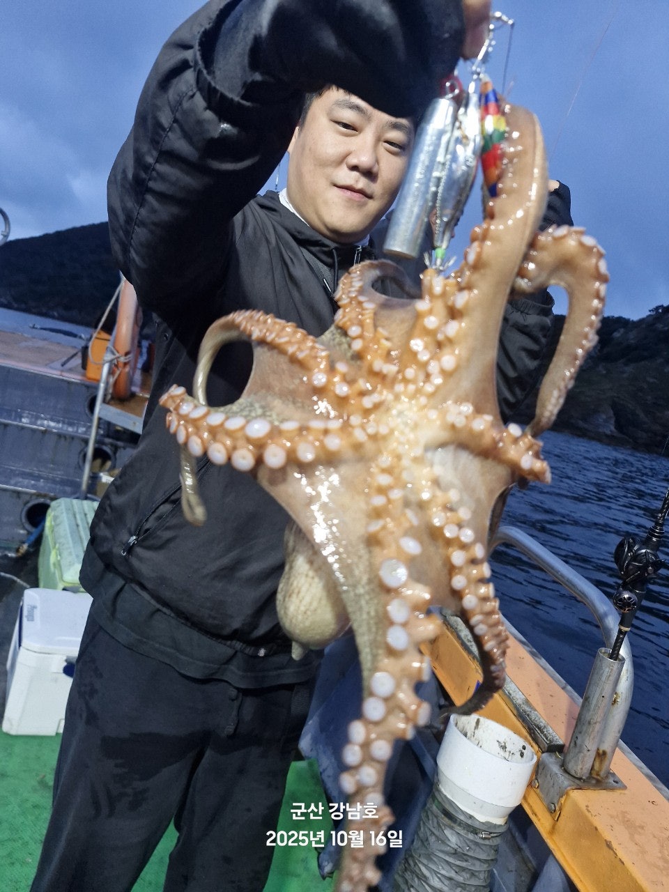 사용자가 올린 이미지