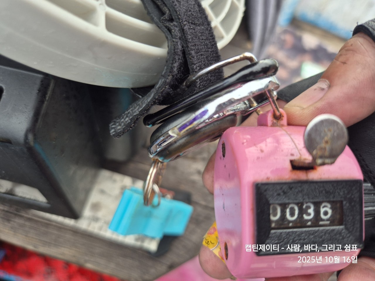 사용자가 올린 이미지