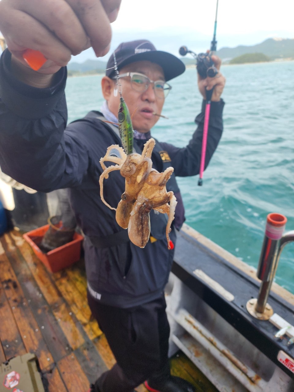 사용자가 올린 이미지