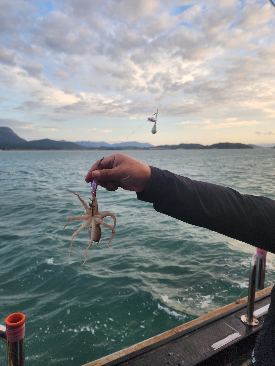 사용자가 올린 이미지