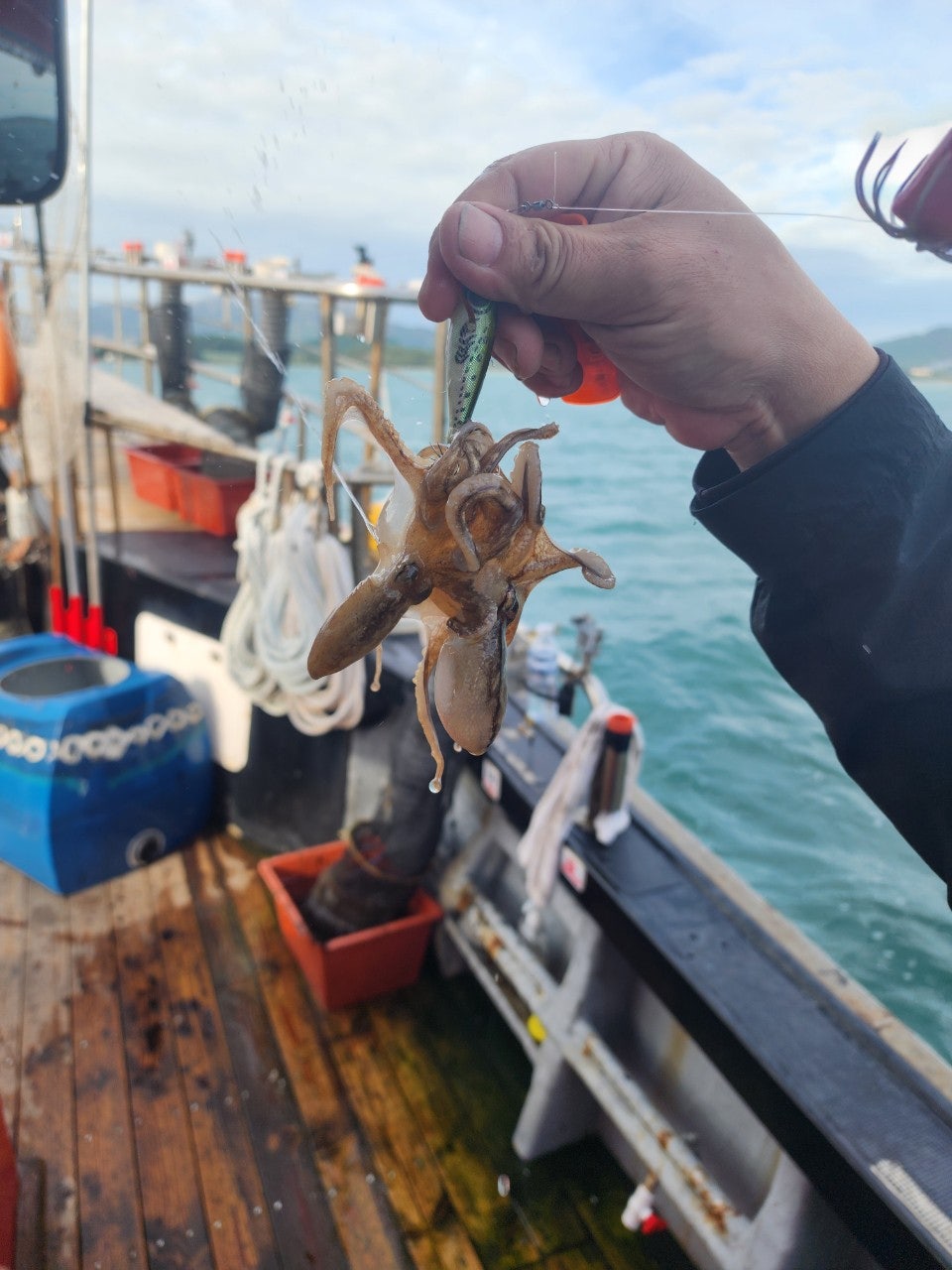 사용자가 올린 이미지