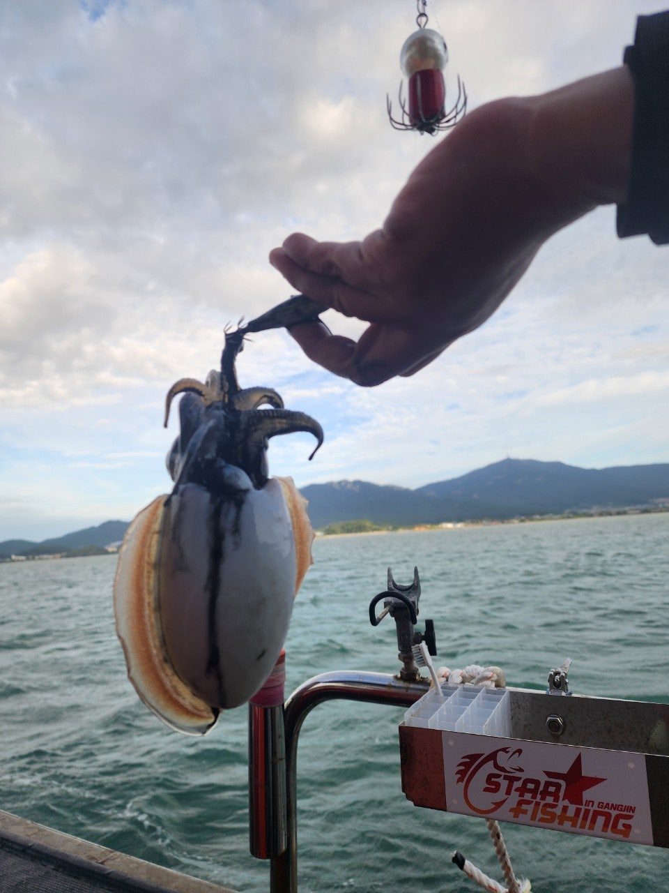 사용자가 올린 이미지