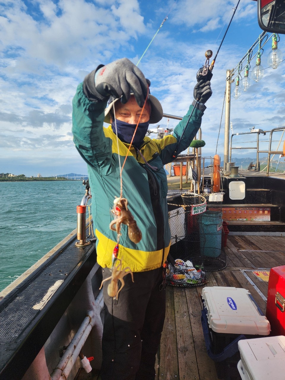 사용자가 올린 이미지