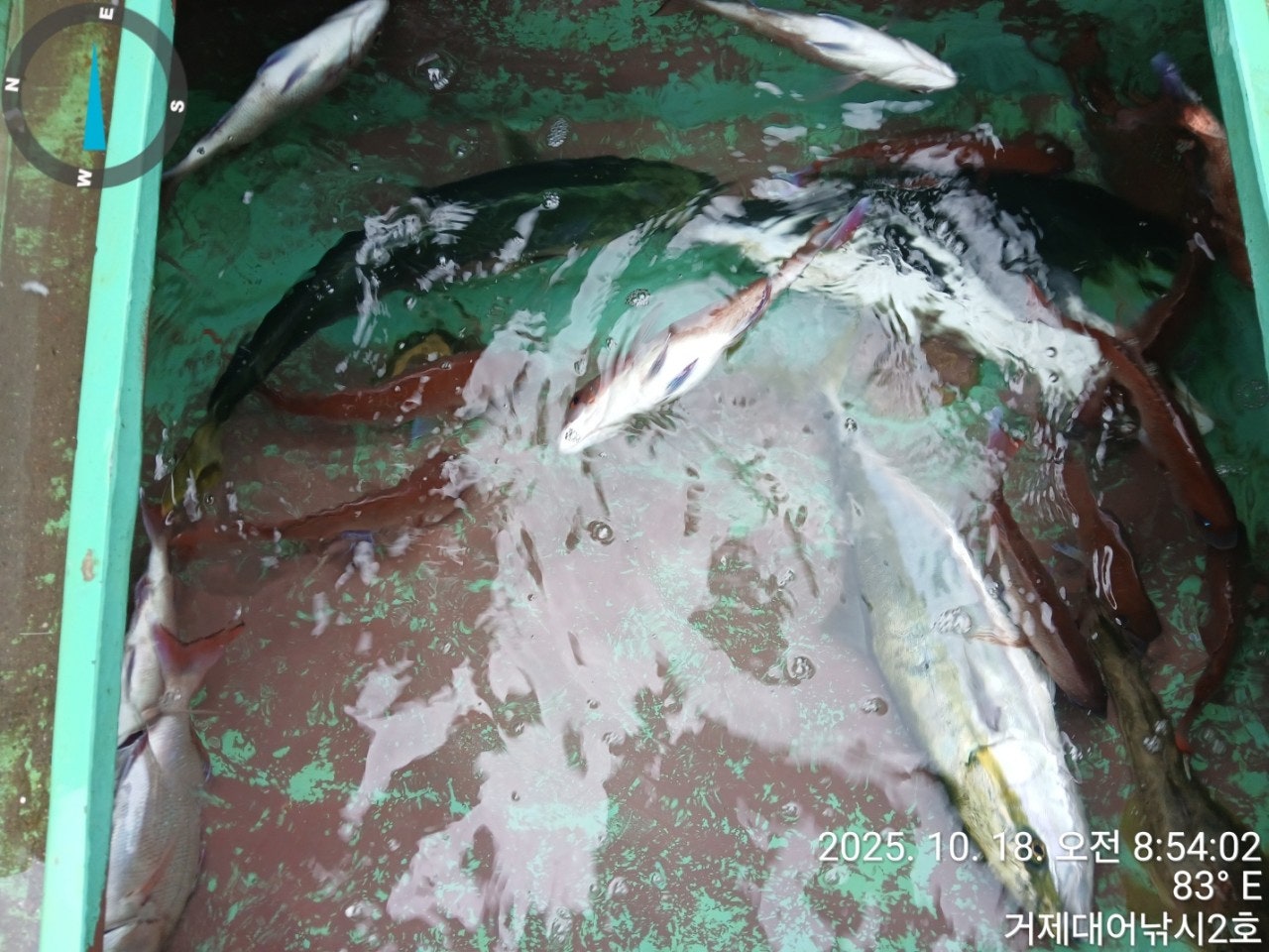 사용자가 올린 이미지