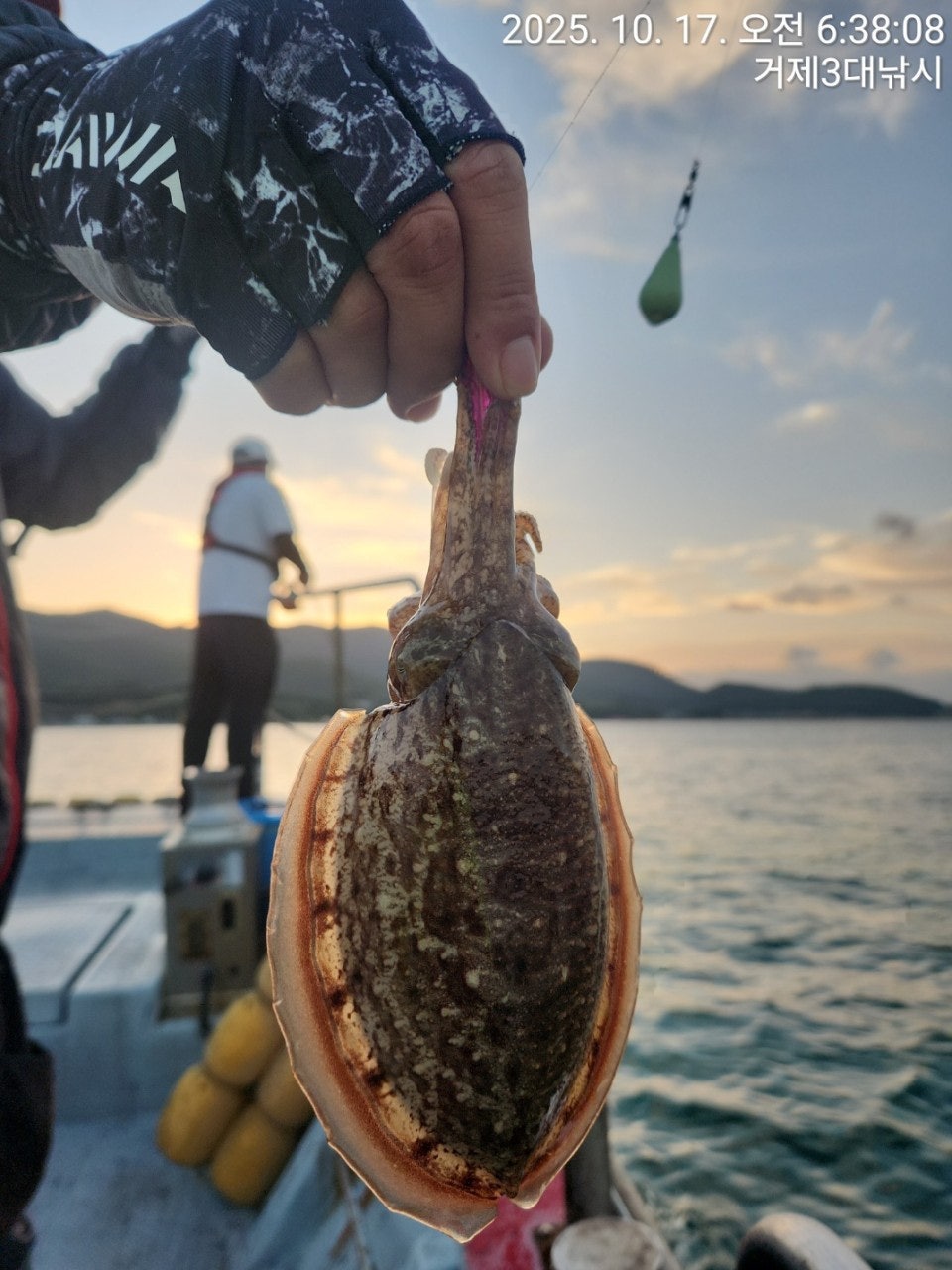 사용자가 올린 이미지