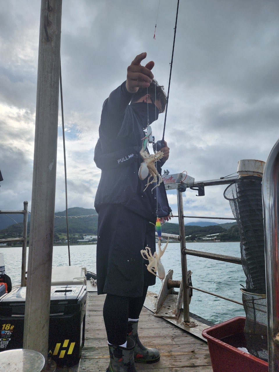 사용자가 올린 이미지