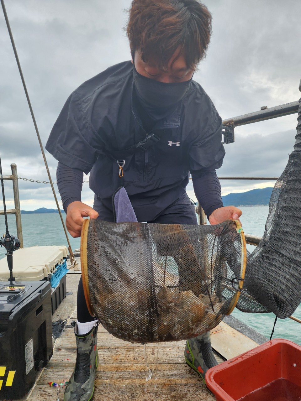 사용자가 올린 이미지