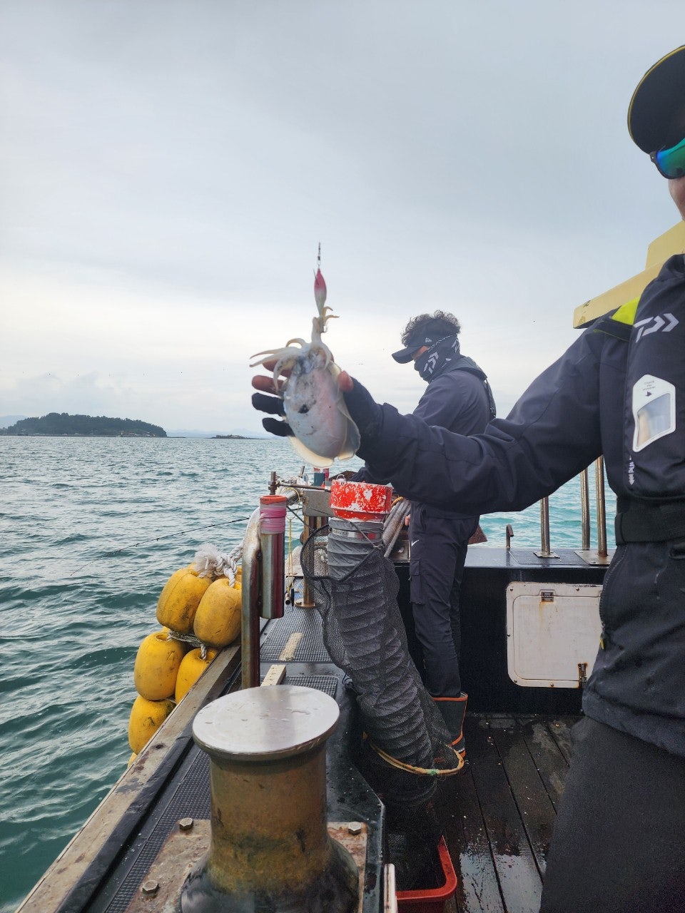 사용자가 올린 이미지