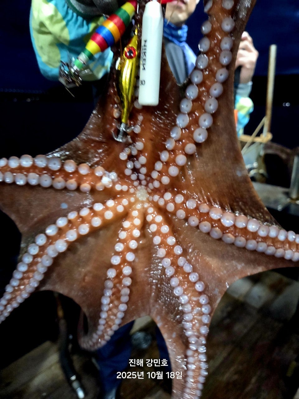 사용자가 올린 이미지