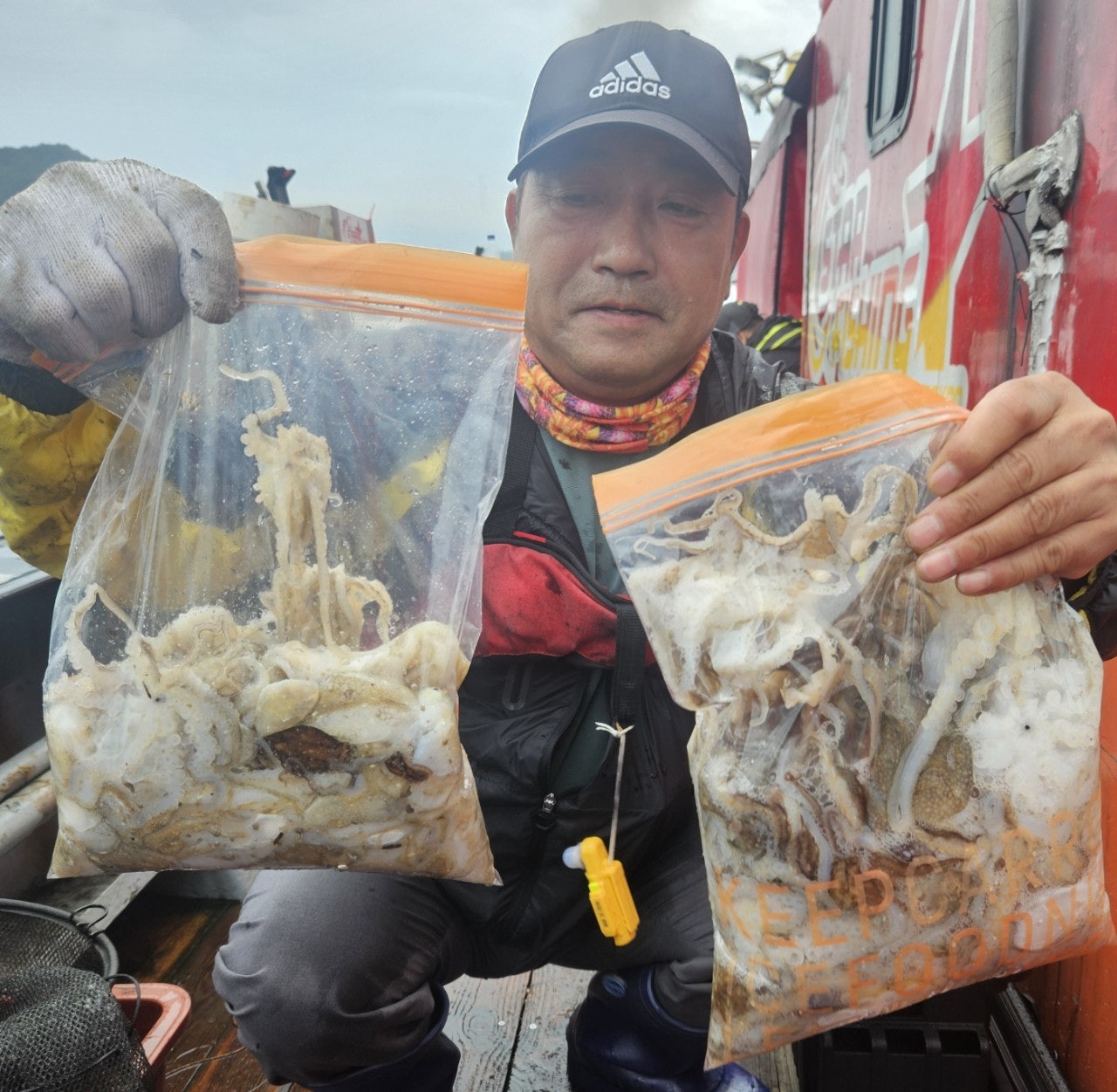 사용자가 올린 이미지