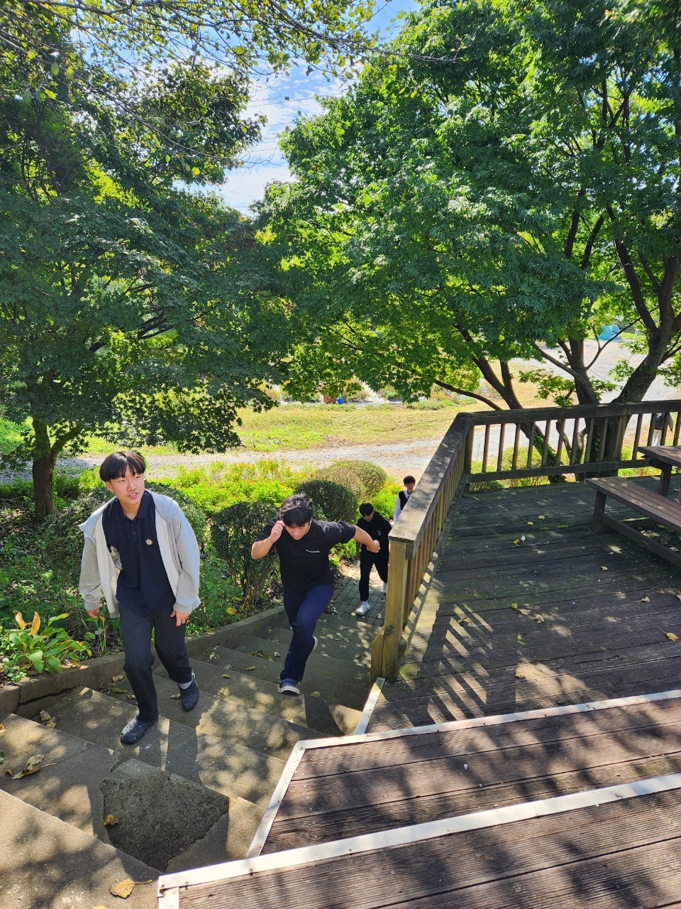 사용자가 올린 이미지