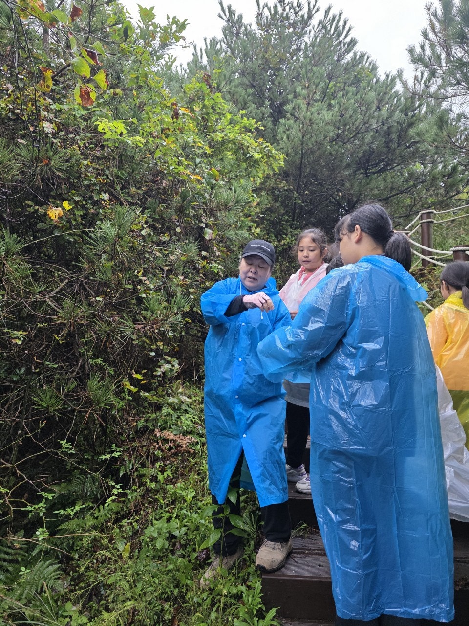 사용자가 올린 이미지