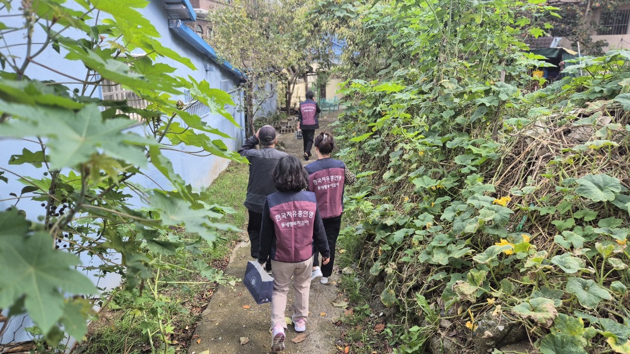 사용자가 올린 이미지