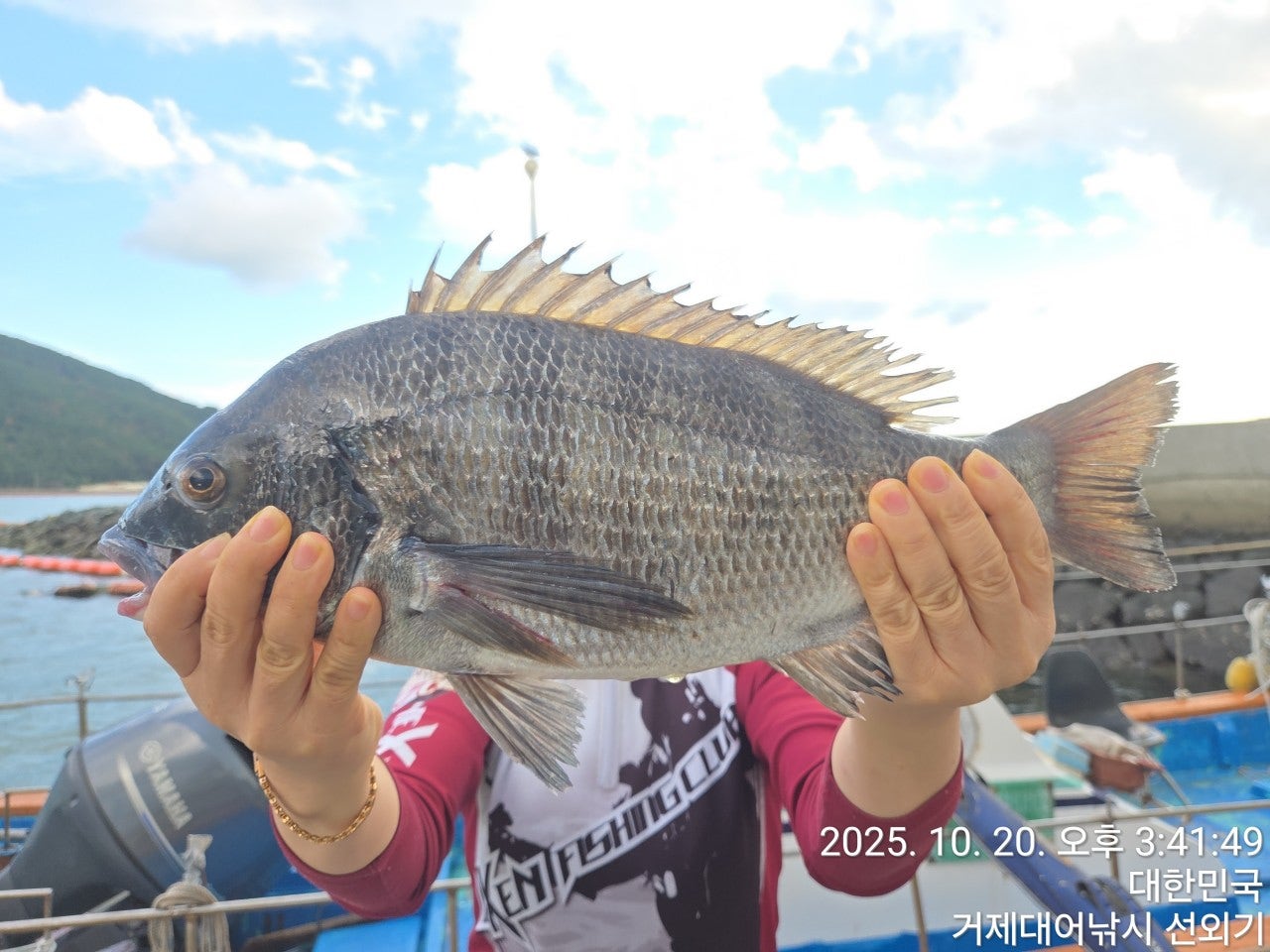 사용자가 올린 이미지