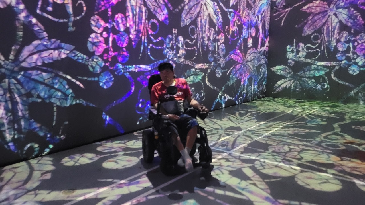 사용자가 올린 이미지