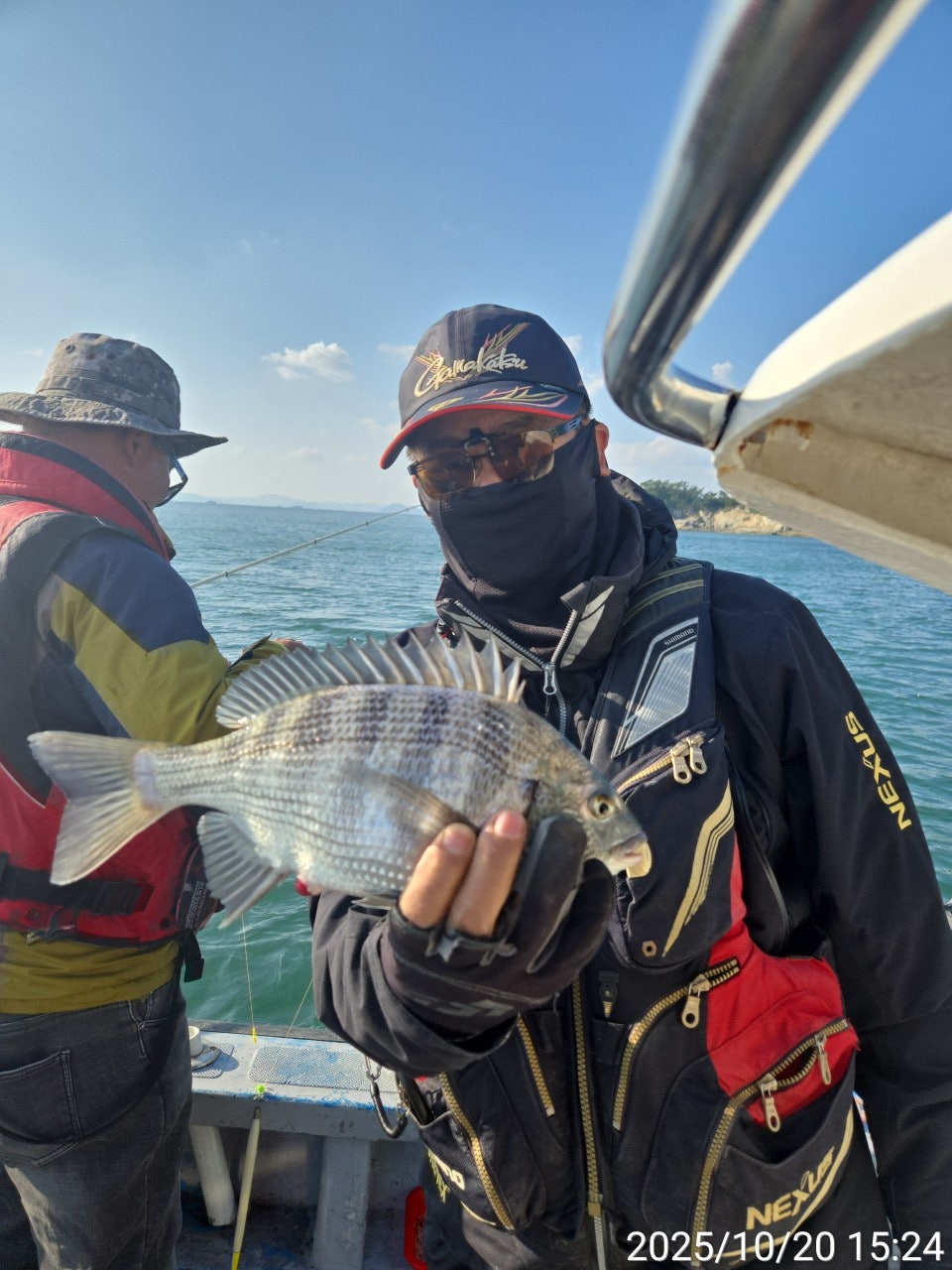 사용자가 올린 이미지