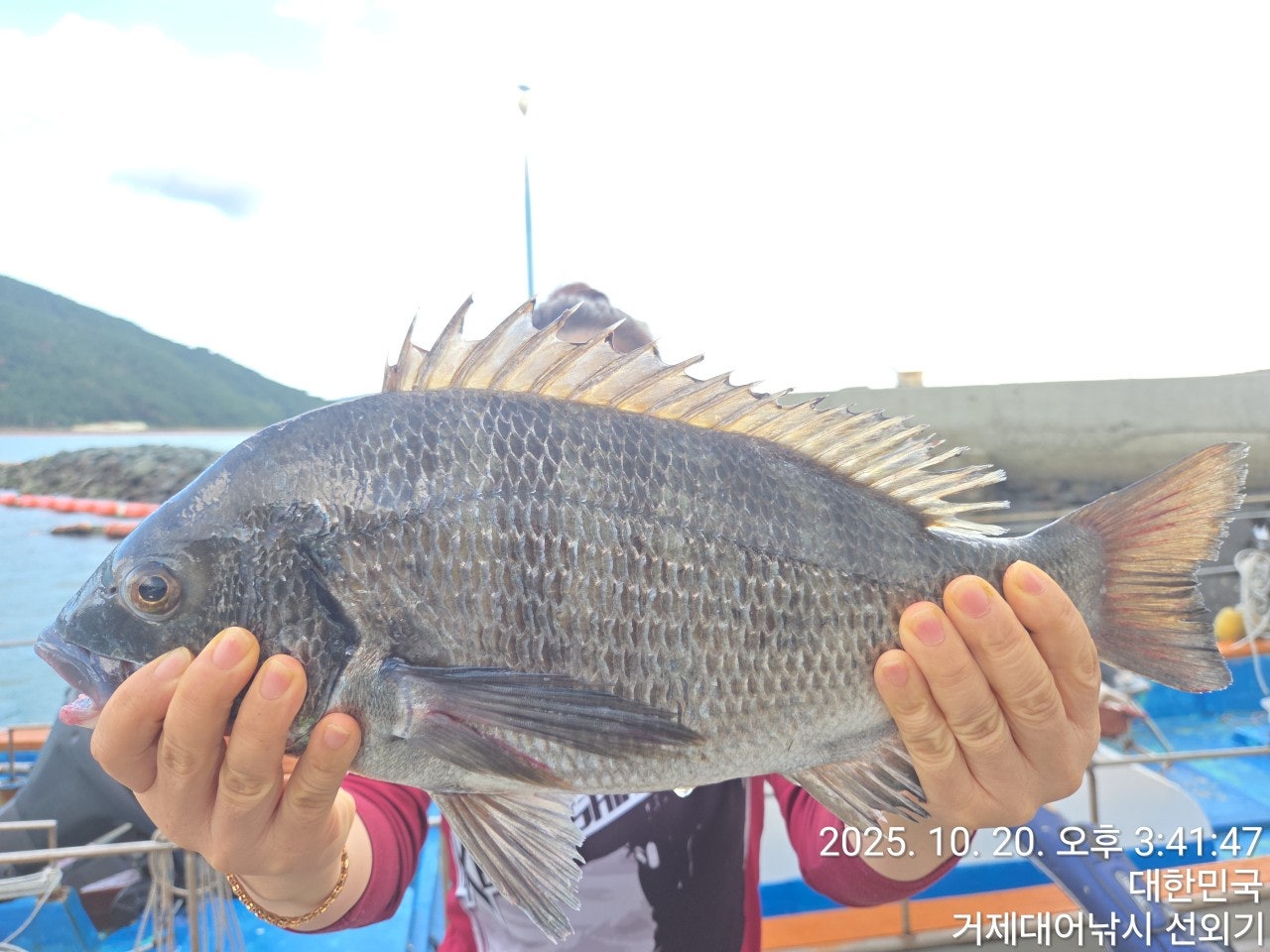 사용자가 올린 이미지