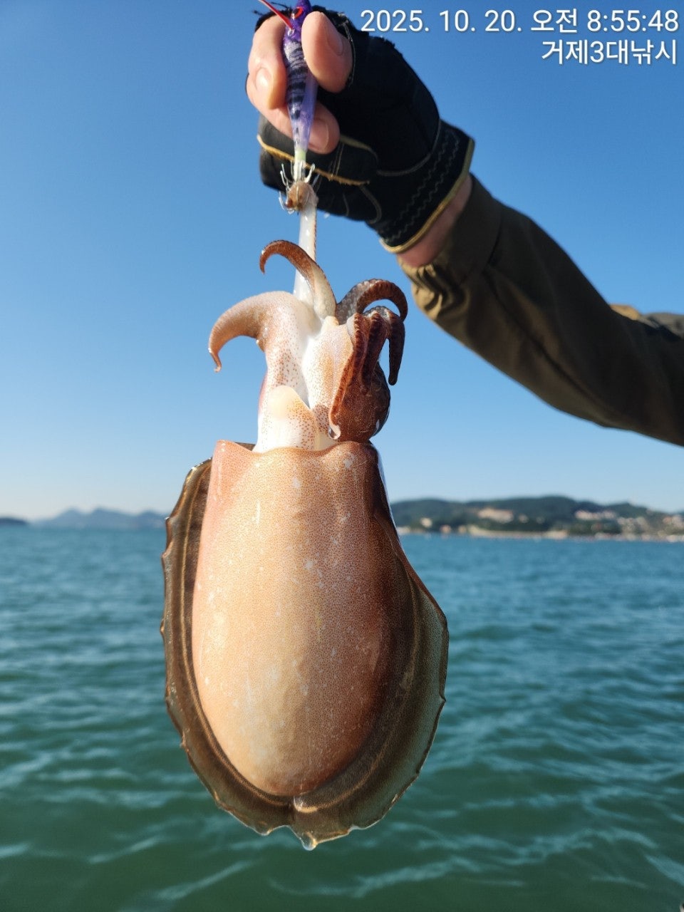 사용자가 올린 이미지