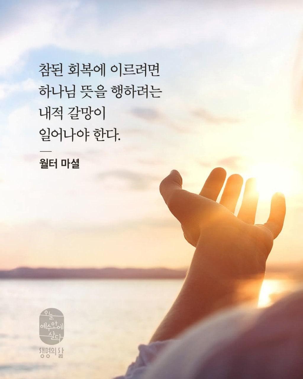 ����ڰ� �ø� �̹���