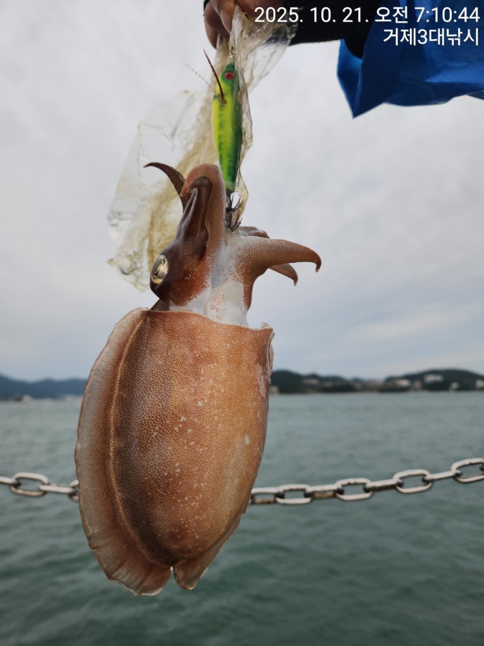 사용자가 올린 이미지