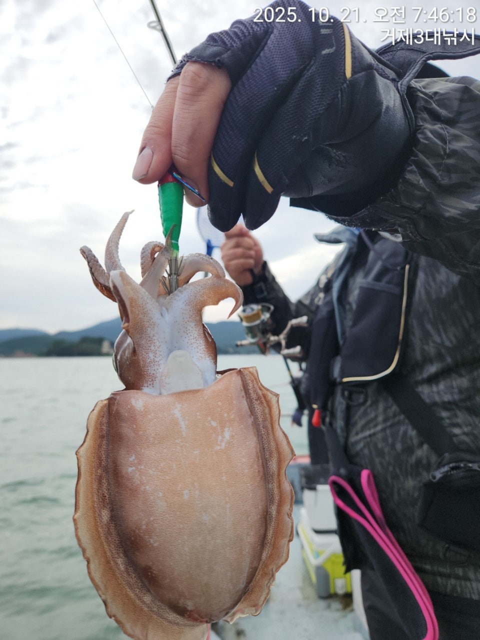 사용자가 올린 이미지