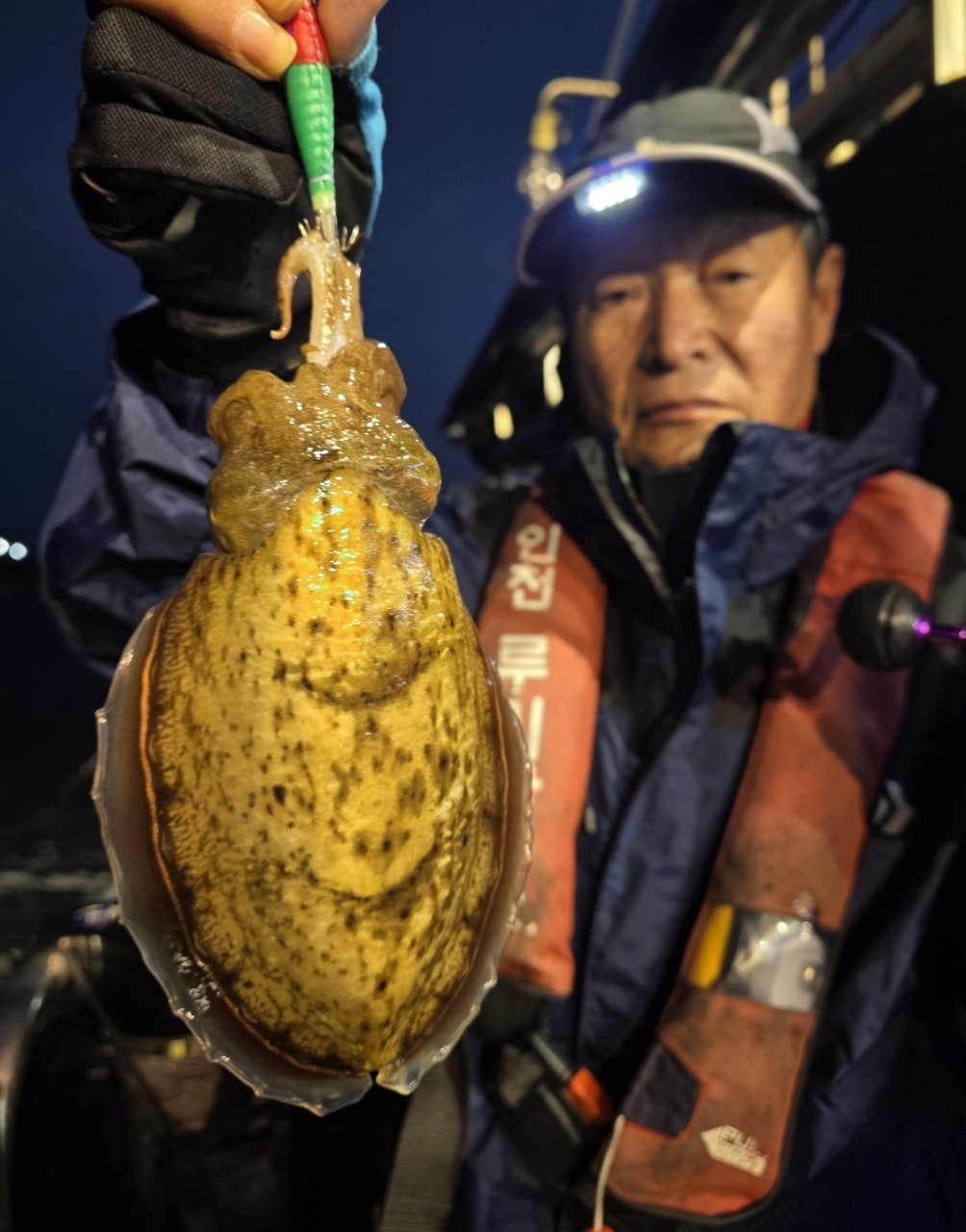 사용자가 올린 이미지