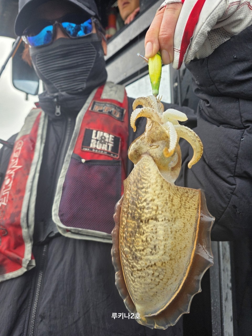 사용자가 올린 이미지