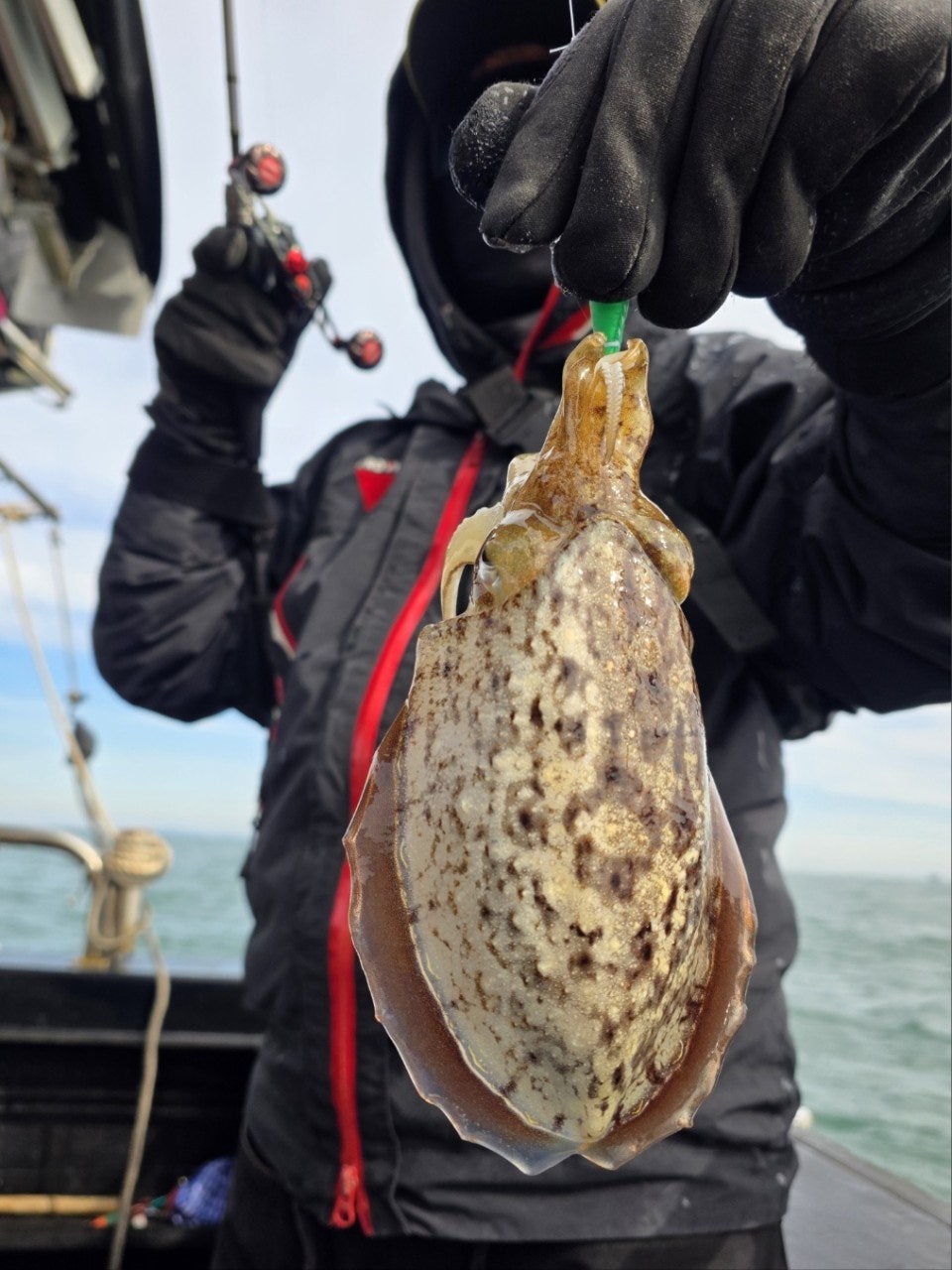 사용자가 올린 이미지