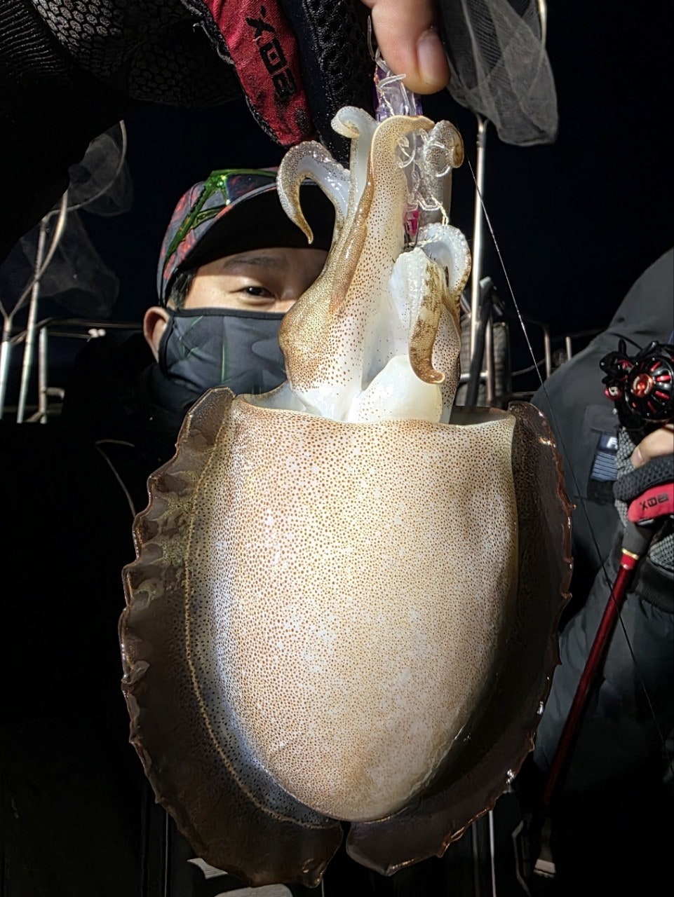 사용자가 올린 이미지