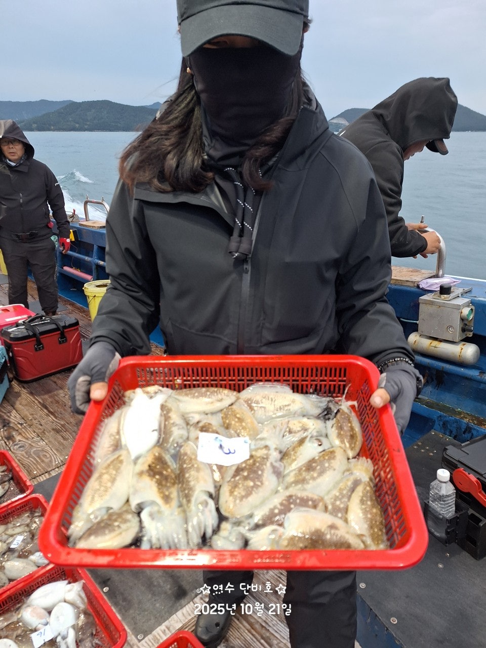 사용자가 올린 이미지