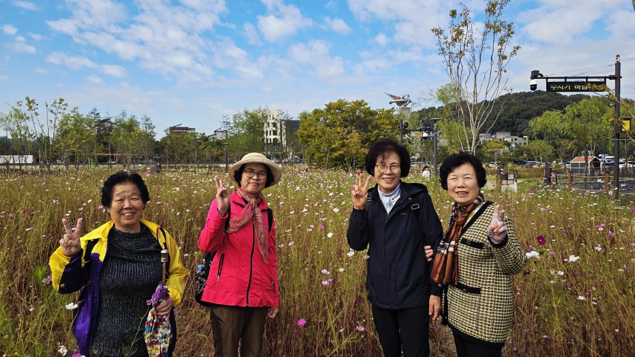 사용자가 올린 이미지