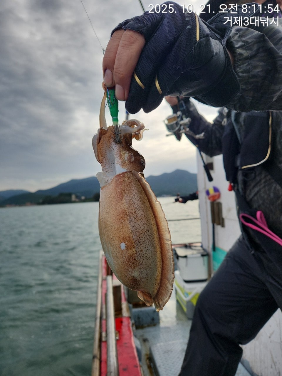 사용자가 올린 이미지