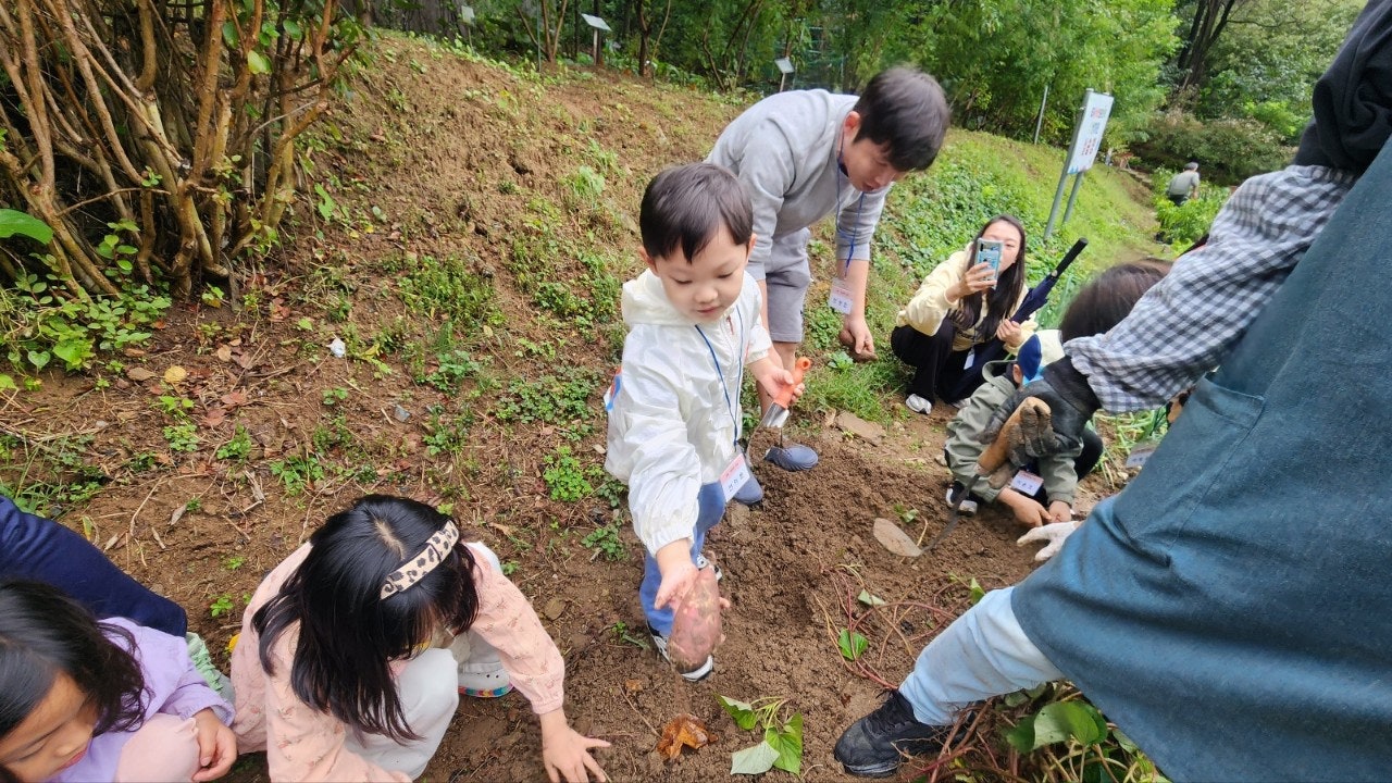 사용자가 올린 이미지