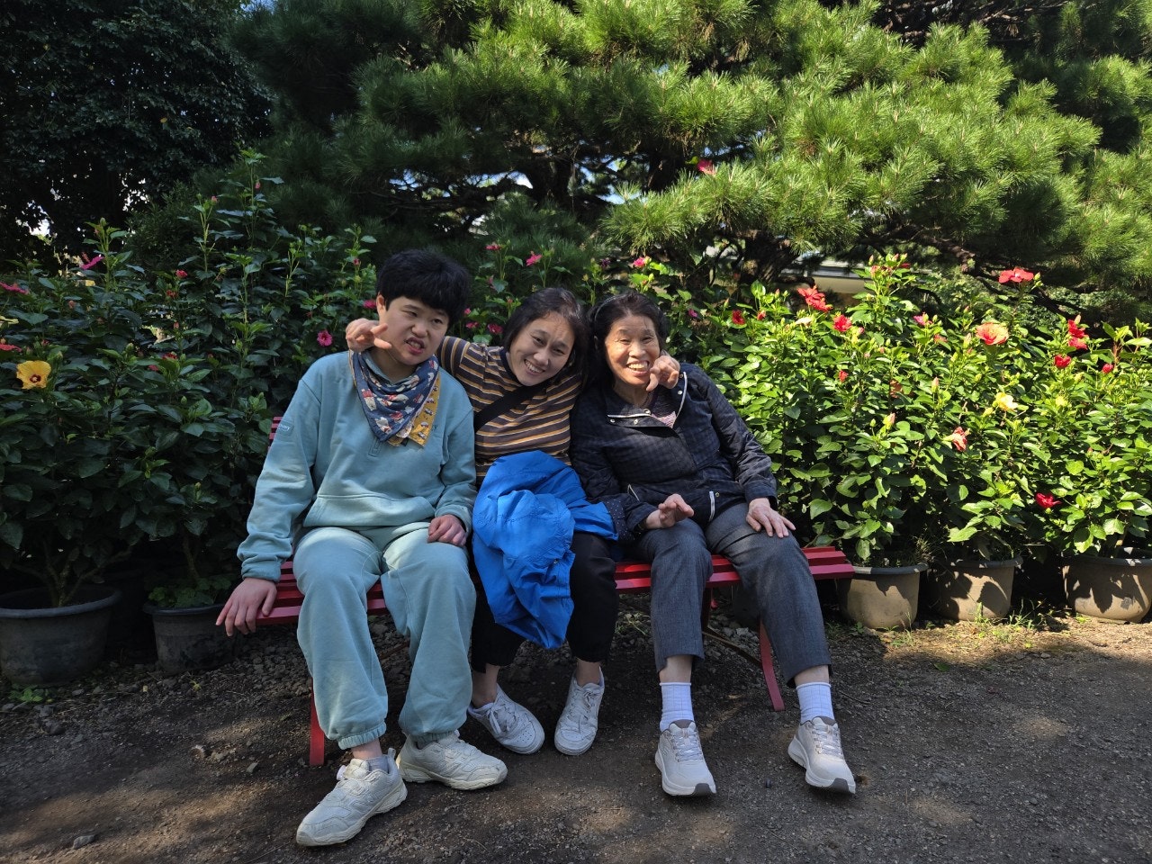 사용자가 올린 이미지