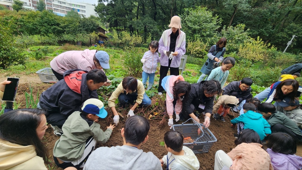 사용자가 올린 이미지